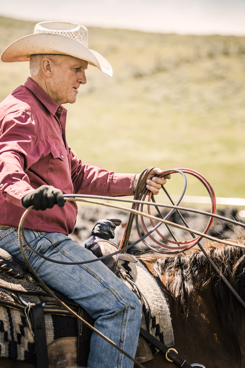 Cowboys-Wyoming-2015-1527_MG_9792